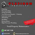 Darryn Platinum Projects