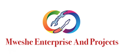 Mweshe Enterprise And Projects