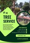 EC Tree Felling