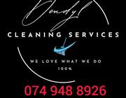 Dendyl Cleaning Services