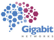 Gigabit Networks