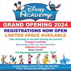 Disney Academy