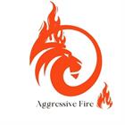 Aggressive Fire Trading And Projects
