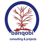Banqobi Consulting And Projects