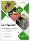 One Clean Cherry