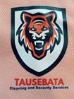 Tausebata Security And Cleaning Services