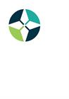 Molecule Consultancy