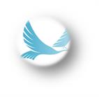 Cape Eagle Property Maintenance And Renovation Projects Pty Ltd
