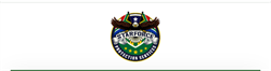Starforce Protection Services