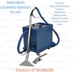 Dingumuzi Cleaning Services