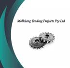 Molleleng Trading Projects