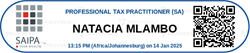 Mlambo Professional Accountants