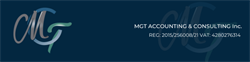 MGT Accounting And Consulting Inc