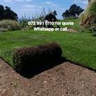 Sipho Tarring And Lawn Installation