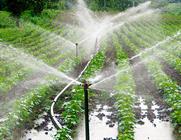 Mist Irrigation