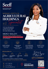 Seeff Properties Estate Agent- Mercy Baloyi