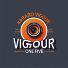 Karabo Vigour Work