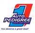 Auto Pedigree